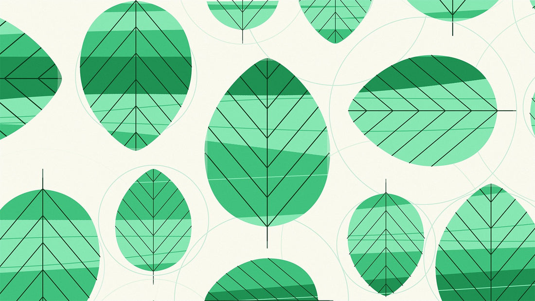 Alas My Lady Greensleeves